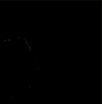 animation du dveloppement de l'embrion